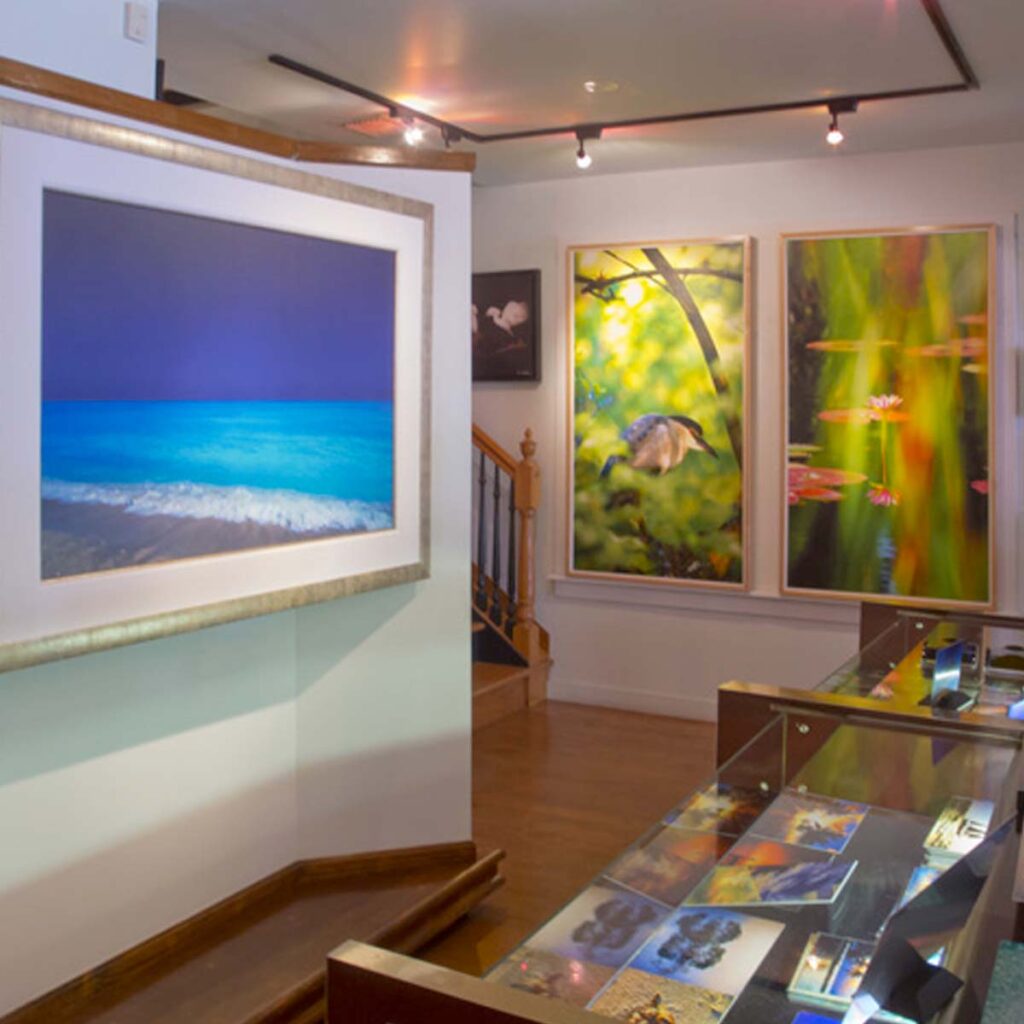 Alan S. Maltz Gallery alan maltz gallery 69