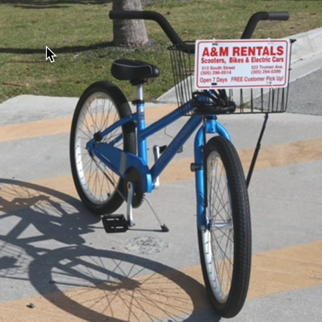 a & M bike rentals