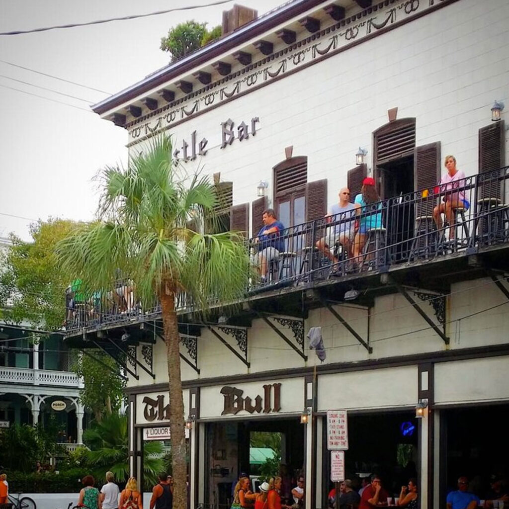 bull and whistle bar
