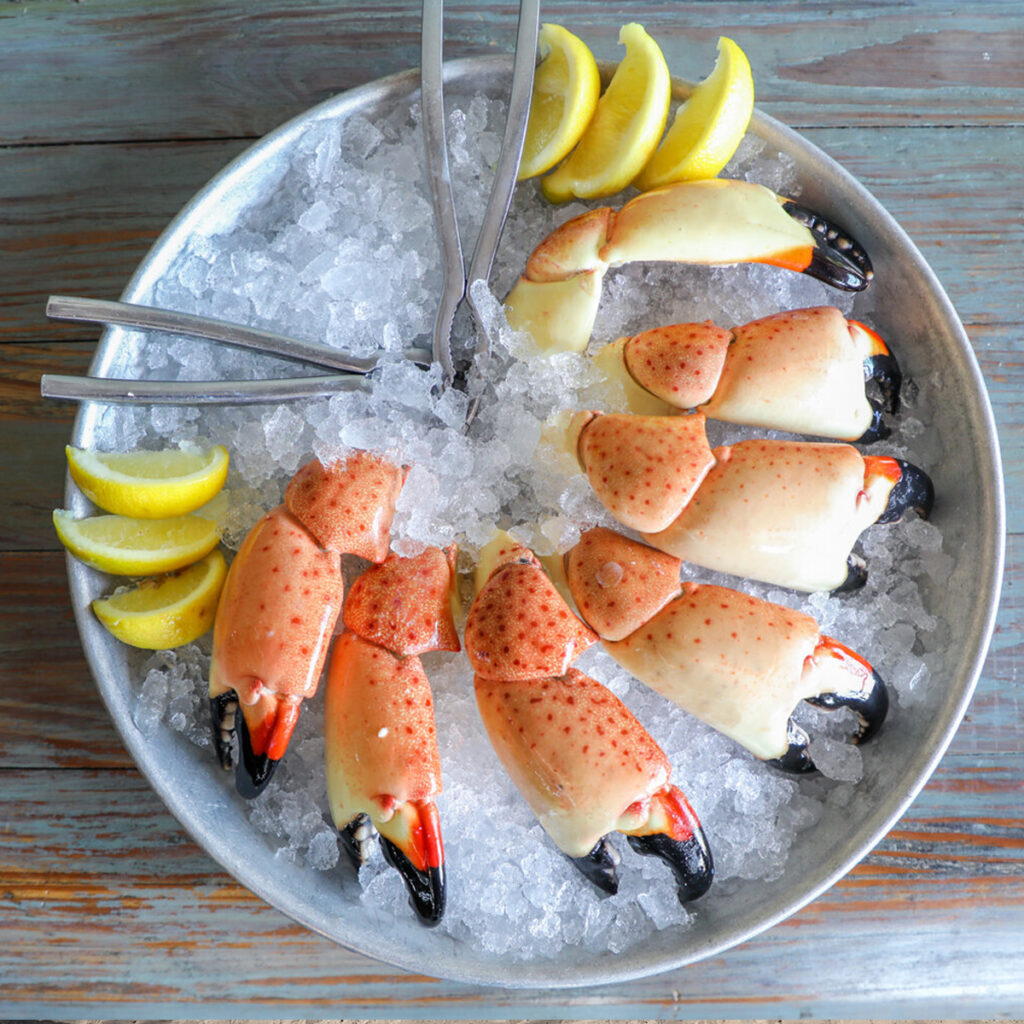 Conch Republic Seafood Company conch republic seafood 10