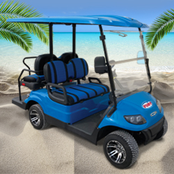 Fury Golf Cart Rentals  70