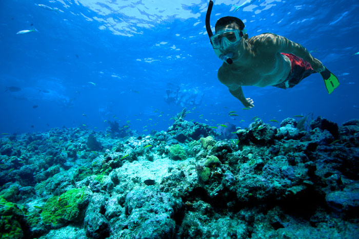 Image of Snorkeling in Key West