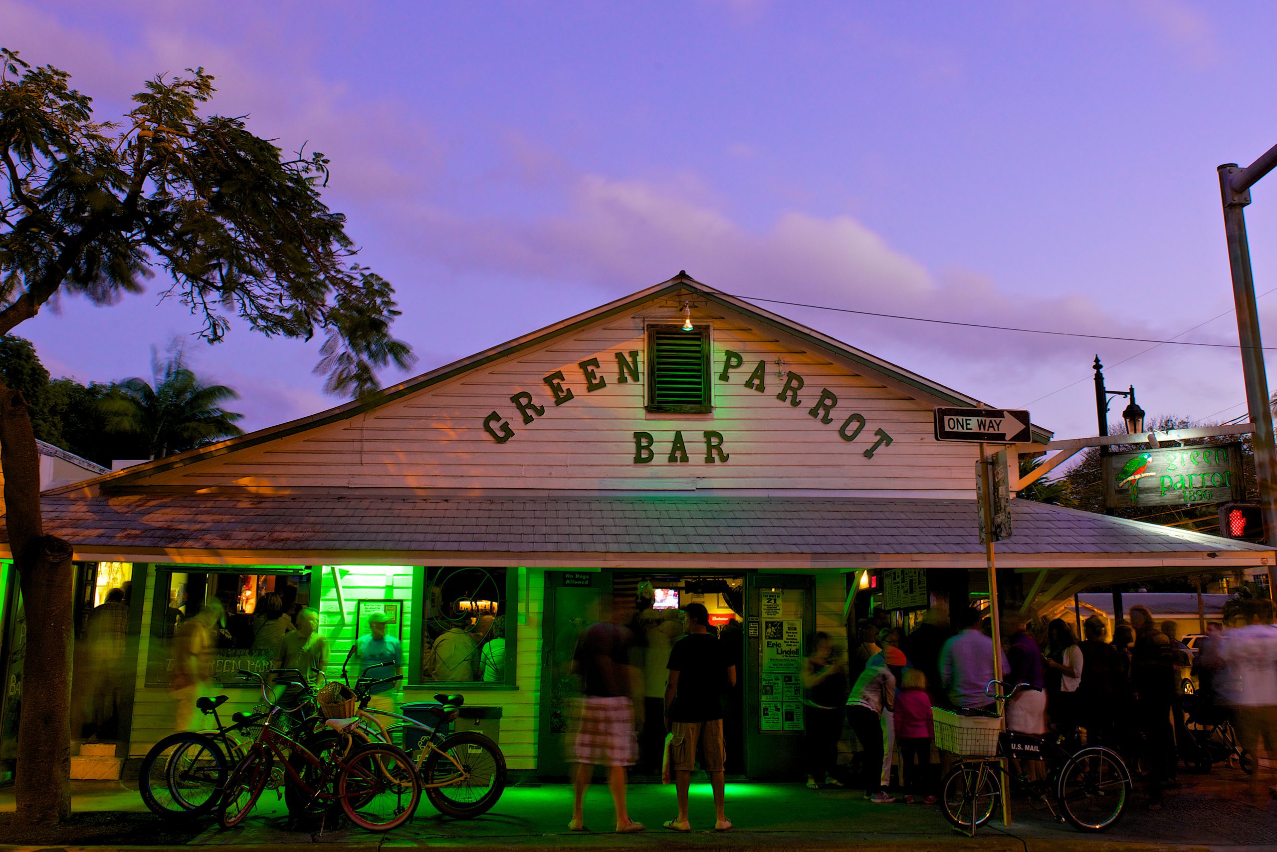 Image of Green Parrot Bar