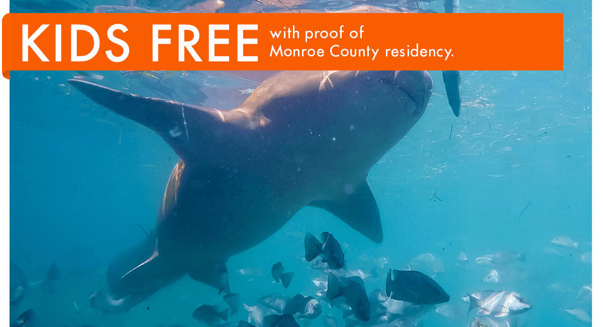 Key West Aquarium Free Admission for locals in September