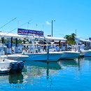 Key West Fishing Charters Image Custom Category 99