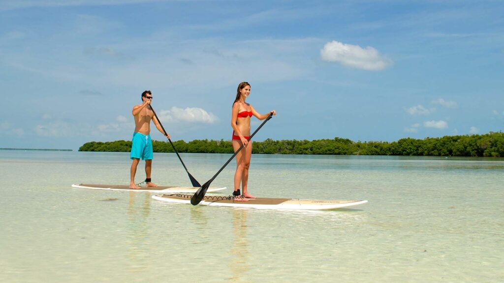 Key West Watersport Rentals Image Custom Category 46