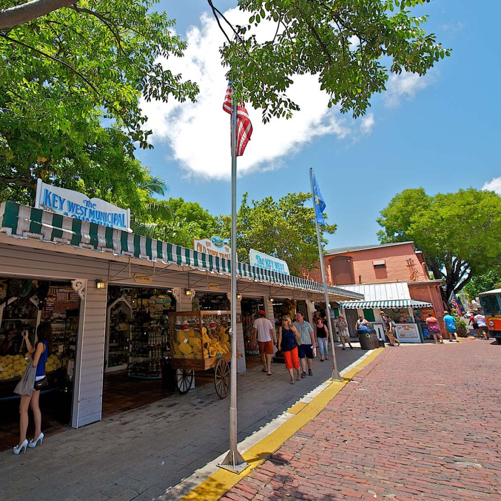 Places To Shop in Key West Image Custom Category 67