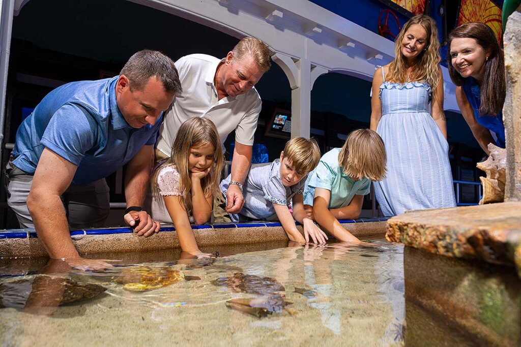 Key West Aquarium touch tank 