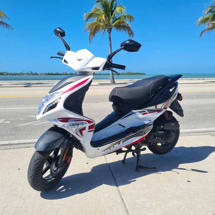 Key West Moped  98