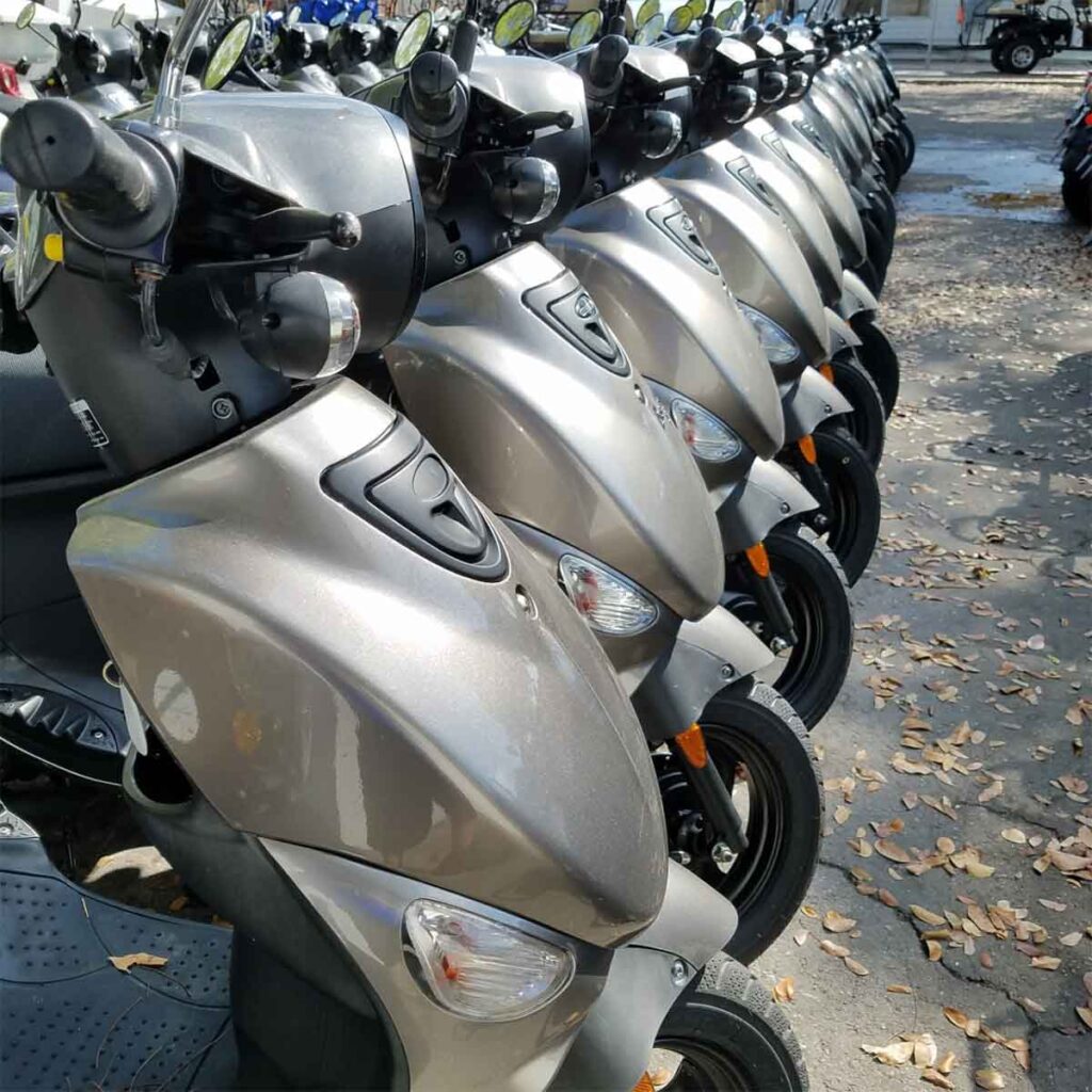 Pirate Scooter Rentals  19
