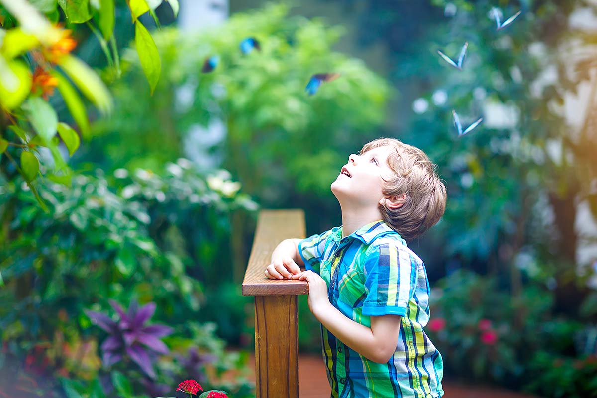 Family-Friendly Summer Attractions