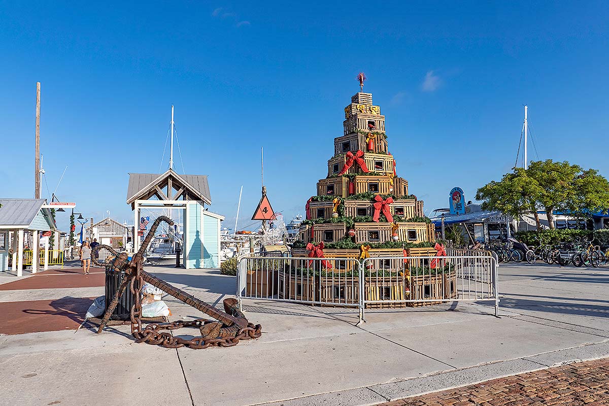 Things To Do in Winter in Key West