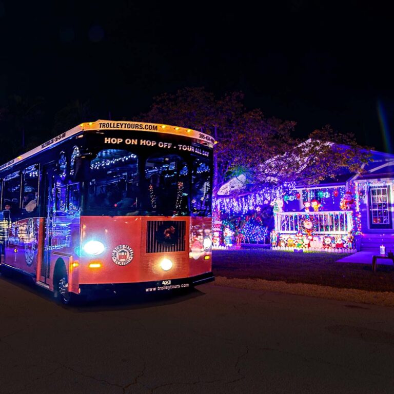 Holiday Sights and Festive Nights