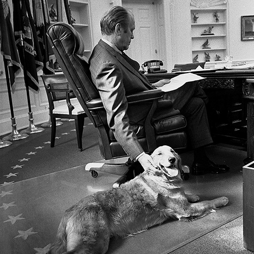Presidential Pets: Animals in the White House